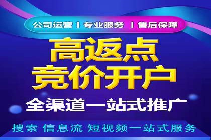 SEM广告投放案例：打造品牌影响力